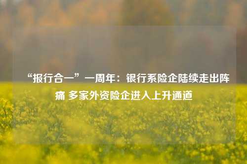 “报行合一”一周年：银行系险企陆续走出阵痛 多家外资险企进入上升通道