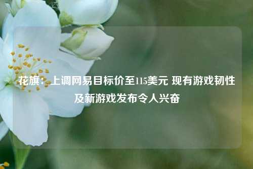 花旗：上调网易目标价至115美元 现有游戏韧性及新游戏发布令人兴奋