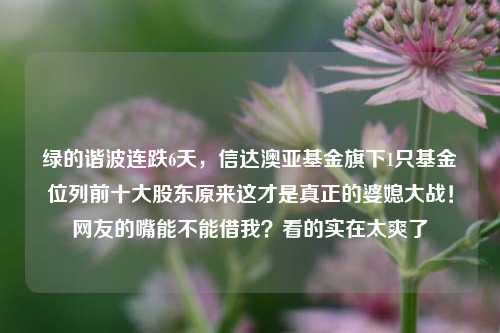 绿的谐波连跌6天，信达澳亚基金旗下1只基金位列前十大股东原来这才是真正的婆媳大战！网友的嘴能不能借我？看的实在太爽了