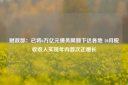 财政部：已将6万亿元债务限额下达各地 10月税收收入实现年内首次正增长