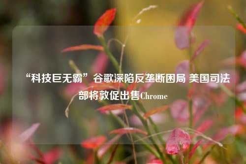 “科技巨无霸”谷歌深陷反垄断困局 美国司法部将敦促出售Chrome