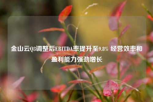 金山云Q3调整后EBITDA率提升至9.8% 经营效率和盈利能力强劲增长