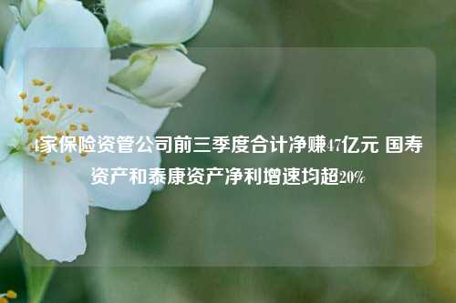 4家保险资管公司前三季度合计净赚47亿元 国寿资产和泰康资产净利增速均超20%