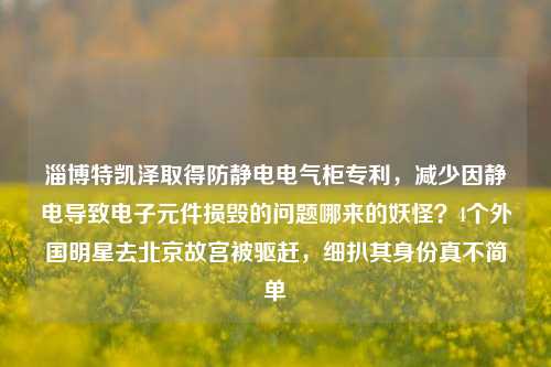 淄博特凯泽取得防静电电气柜专利，减少因静电导致电子元件损毁的问题哪来的妖怪？4个外国明星去北京故宫被驱赶，细扒其身份真不简单