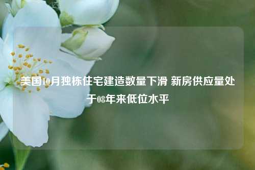 美国10月独栋住宅建造数量下滑 新房供应量处于08年来低位水平