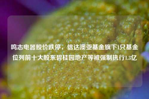 鸣志电器股价跌停，信达澳亚基金旗下1只基金位列前十大股东碧桂园地产等被强制执行1.3亿