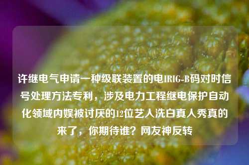 许继电气申请一种级联装置的电IRIG-B码对时信号处理方法专利，涉及电力工程继电保护自动化领域内娱被讨厌的12位艺人洗白真人秀真的来了，你期待谁？网友神反转