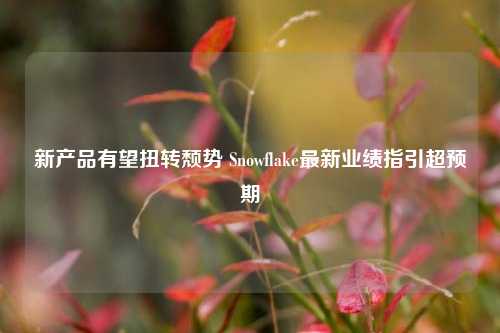 新产品有望扭转颓势 Snowflake最新业绩指引超预期