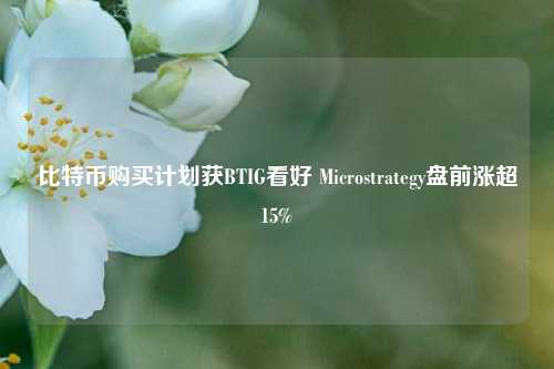 比特币购买计划获BTIG看好 Microstrategy盘前涨超15%