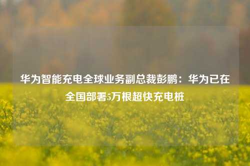 华为智能充电全球业务副总裁彭鹏：华为已在全国部署5万根超快充电桩