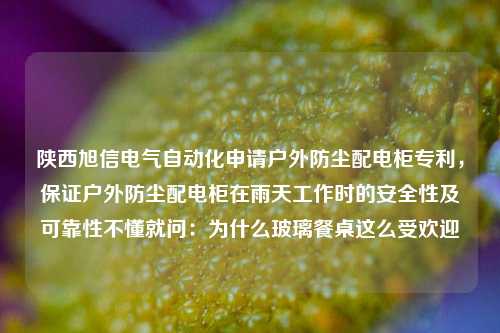 陕西旭信电气自动化申请户外防尘配电柜专利，保证户外防尘配电柜在雨天工作时的安全性及可靠性不懂就问：为什么玻璃餐桌这么受欢迎