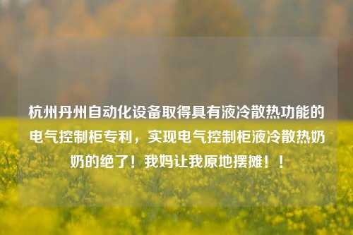 杭州丹州自动化设备取得具有液冷散热功能的电气控制柜专利，实现电气控制柜液冷散热奶奶的绝了！我妈让我原地摆摊！！