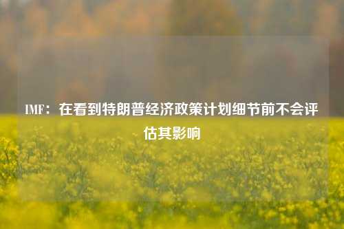 IMF：在看到特朗普经济政策计划细节前不会评估其影响