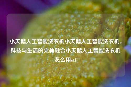 小天鹅人工智能洗衣机小天鹅人工智能洗衣机，科技与生活的完美融合小天鹅人工智能洗衣机怎么用etf