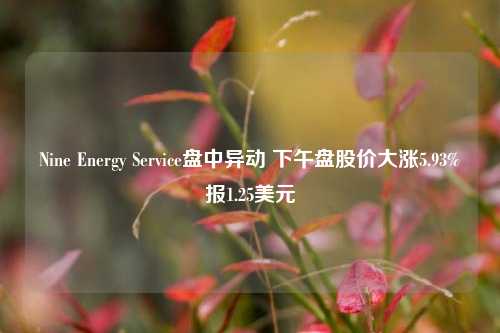 Nine Energy Service盘中异动 下午盘股价大涨5.93%报1.25美元