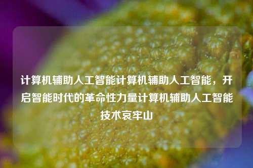 计算机辅助人工智能计算机辅助人工智能，开启智能时代的革命性力量计算机辅助人工智能技术哀牢山