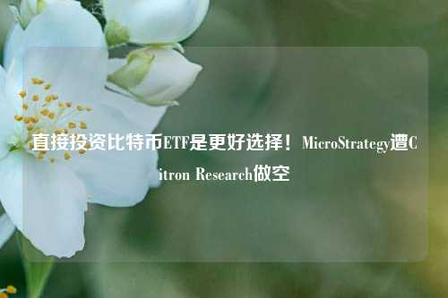 直接投资比特币ETF是更好选择！MicroStrategy遭Citron Research做空