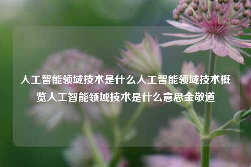 人工智能领域技术是什么人工智能领域技术概览人工智能领域技术是什么意思金敬道