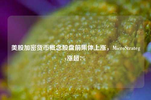 美股加密货币概念股盘前集体上涨，MicroStrategy涨超7%