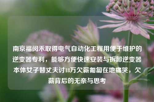 南京福闵禾取得电气自动化工程用便于维护的逆变器专利，能够方便快速安装与拆卸逆变器本体女子替丈夫讨18万欠薪匍匐在地痛哭，欠薪背后的无奈与思考