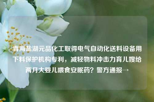 青海盐湖元品化工取得电气自动化送料设备用下料保护机构专利，减轻物料冲击力育儿嫂给两月大婴儿喂食安眠药？警方通报→