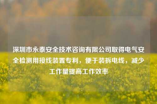 深圳市永泰安全技术咨询有限公司取得电气安全检测用接线装置专利，便于装拆电线，减少工作量提高工作效率