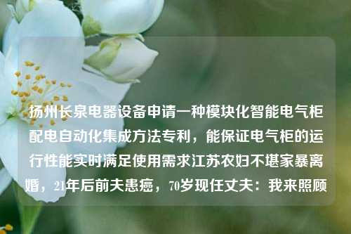 扬州长泉电器设备申请一种模块化智能电气柜配电自动化集成方法专利，能保证电气柜的运行性能实时满足使用需求江苏农妇不堪家暴离婚，21年后前夫患癌，70岁现任丈夫：我来照顾