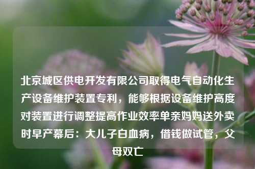 北京城区供电开发有限公司取得电气自动化生产设备维护装置专利，能够根据设备维护高度对装置进行调整提高作业效率单亲妈妈送外卖时早产幕后：大儿子白血病，借钱做试管，父母双亡