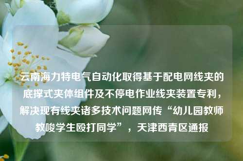 云南海力特电气自动化取得基于配电网线夹的底撑式夹体组件及不停电作业线夹装置专利，解决现有线夹诸多技术问题网传“幼儿园教师教唆学生殴打同学”，天津西青区通报