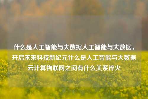 什么是人工智能与大数据人工智能与大数据，开启未来科技新纪元什么是人工智能与大数据云计算物联网之间有什么关系淬火