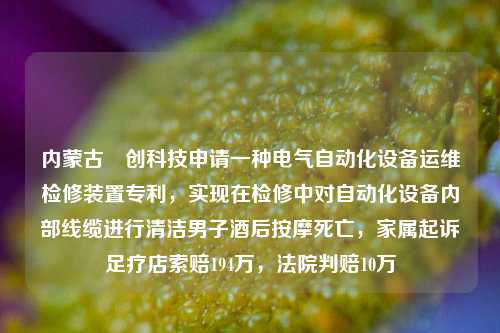 内蒙古犇创科技申请一种电气自动化设备运维检修装置专利，实现在检修中对自动化设备内部线缆进行清洁男子酒后按摩死亡，家属起诉足疗店索赔194万，法院判赔10万