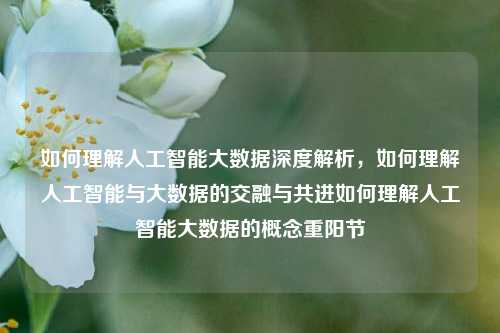 如何理解人工智能大数据深度解析，如何理解人工智能与大数据的交融与共进如何理解人工智能大数据的概念重阳节