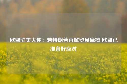 欧盟驻美大使：若特朗普再掀贸易摩擦 欧盟已准备好应对