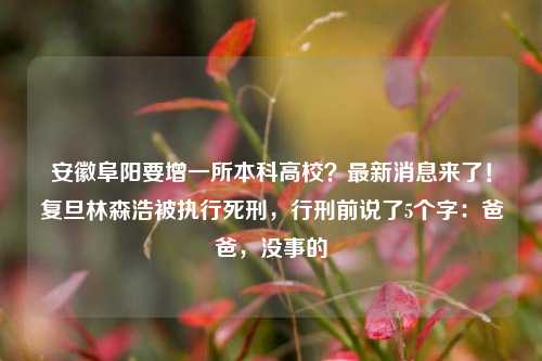 安徽阜阳要增一所本科高校？最新消息来了！复旦林森浩被执行死刑，行刑前说了5个字：爸爸，没事的