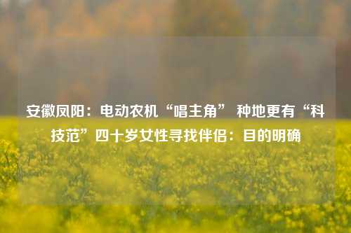 安徽凤阳：电动农机“唱主角” 种地更有“科技范”四十岁女性寻找伴侣：目的明确