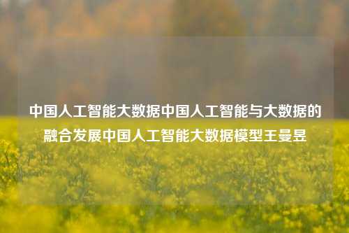 中国人工智能大数据中国人工智能与大数据的融合发展中国人工智能大数据模型王曼昱