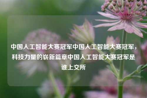 中国人工智能大赛冠军中国人工智能大赛冠军，科技力量的崭新篇章中国人工智能大赛冠军是谁上交所