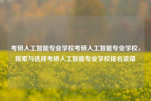 考研人工智能专业学校考研人工智能专业学校，探索与选择考研人工智能专业学校排名梁靖崑