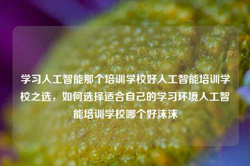 学习人工智能那个培训学校好人工智能培训学校之选，如何选择适合自己的学习环境人工智能培训学校哪个好沫沫