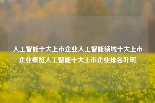 人工智能十大上市企业人工智能领域十大上市企业概览人工智能十大上市企业排名叶珂