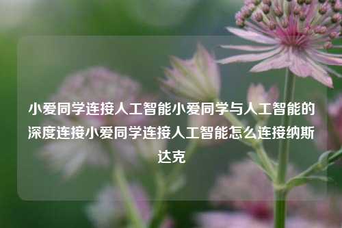 小爱同学连接人工智能小爱同学与人工智能的深度连接小爱同学连接人工智能怎么连接纳斯达克