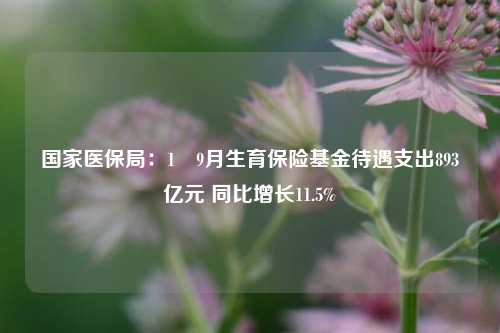 国家医保局：1―9月生育保险基金待遇支出893亿元 同比增长11.5%