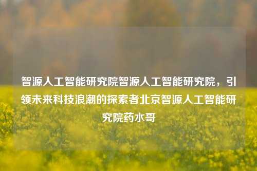 智源人工智能研究院智源人工智能研究院，引领未来科技浪潮的探索者北京智源人工智能研究院药水哥