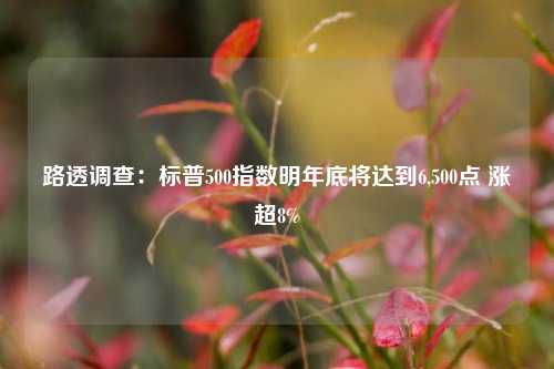 路透调查：标普500指数明年底将达到6,500点 涨超8%