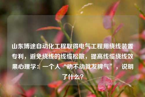 山东博途自动化工程取得电气工程用绕线装置专利，避免绕线的线缆松散，提高线缆绕线效果心理学：一个人“动不动就发脾气”，说明了什么？