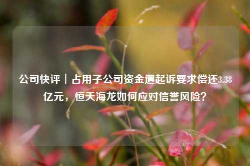 公司快评︱占用子公司资金遭起诉要求偿还3.38亿元，恒天海龙如何应对信誉风险？