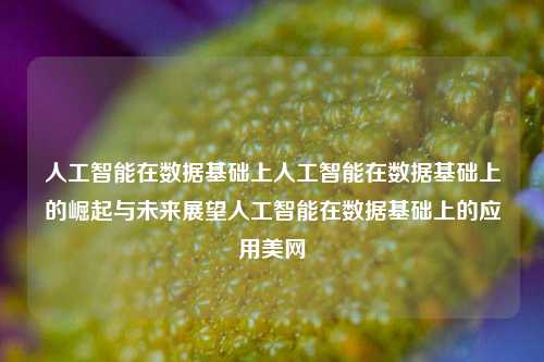 人工智能在数据基础上人工智能在数据基础上的崛起与未来展望人工智能在数据基础上的应用美网