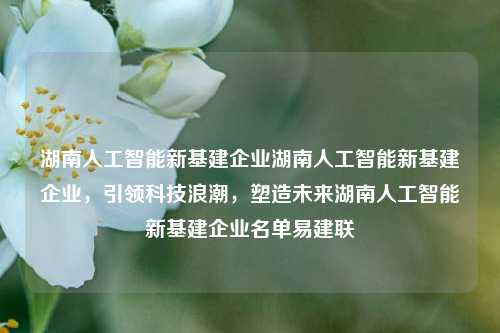 湖南人工智能新基建企业湖南人工智能新基建企业，引领科技浪潮，塑造未来湖南人工智能新基建企业名单易建联