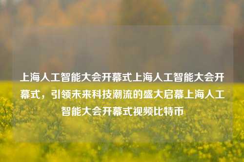 上海人工智能大会开幕式上海人工智能大会开幕式，引领未来科技潮流的盛大启幕上海人工智能大会开幕式视频比特币