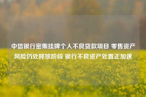 中信银行密集挂牌个人不良贷款项目 零售资产风险仍处释放阶段 银行不良资产处置正加速